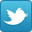 logo Twitter 32 x 32