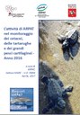 L'attività di ARPAT nel monitoraggio dei cetacei, delle tartarughe e dei grandi pesci cartilaginei - Anno 2016