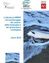 L'attività di ARPAT nel monitoraggio dei cetacei, delle tartarughe e dei grandi pesci cartilaginei - anno 2018