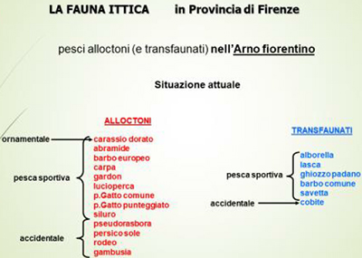 Fauna in provincia di Firenze