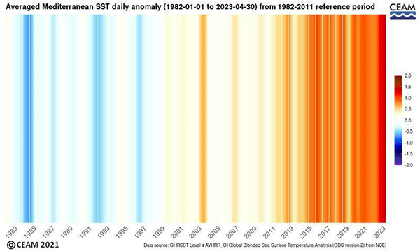 grafico Ceam sul riscaldamento del Mediterraneo