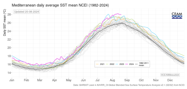 temperatura-mediterraneo-2024