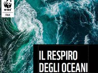 Il respiro degli oceani: nuovo report WWF sul Mediterraneo