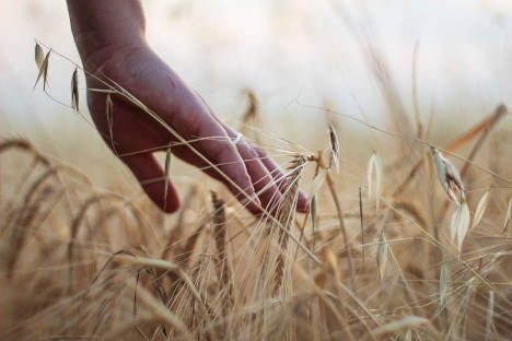 Agricoltura e cambiamenti climatici